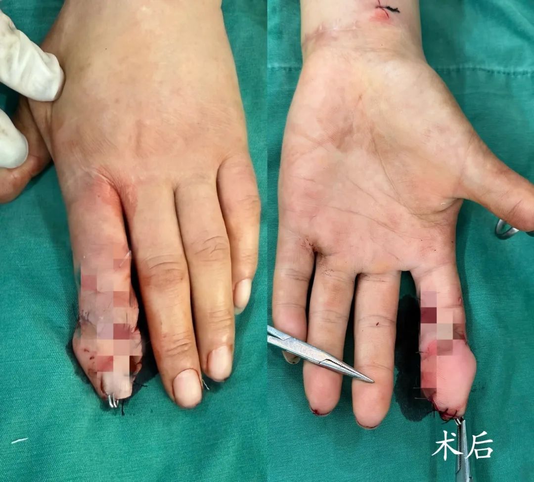 1760320811492025.jpg 640 (2).jpg